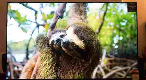 بررسی تلویزیون OLED