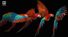 فناوری دالبی ویژن