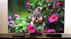 تلویزیون QN900D سامسونگ