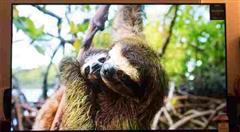 بررسی تلویزیون OLED